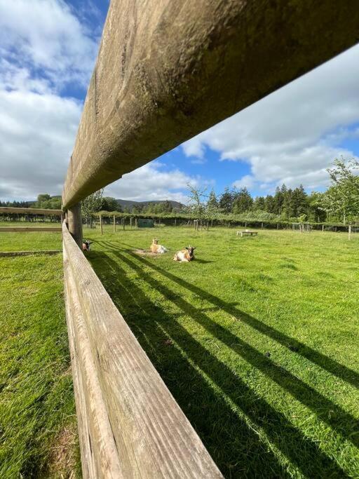 Herdmans Hideaway Brecon Extérieur photo